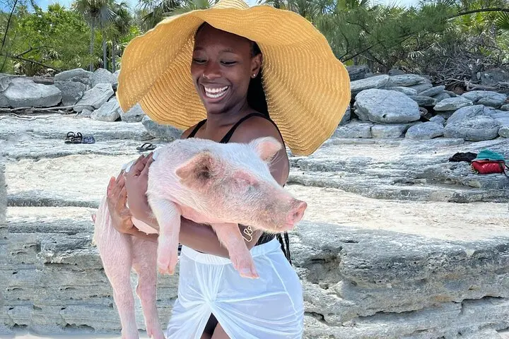Guest holding a piglet at Rose Island