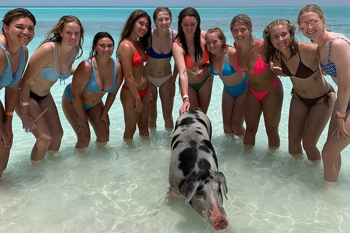 Swimming-Pigs-Tour-Nassau-Bahamas