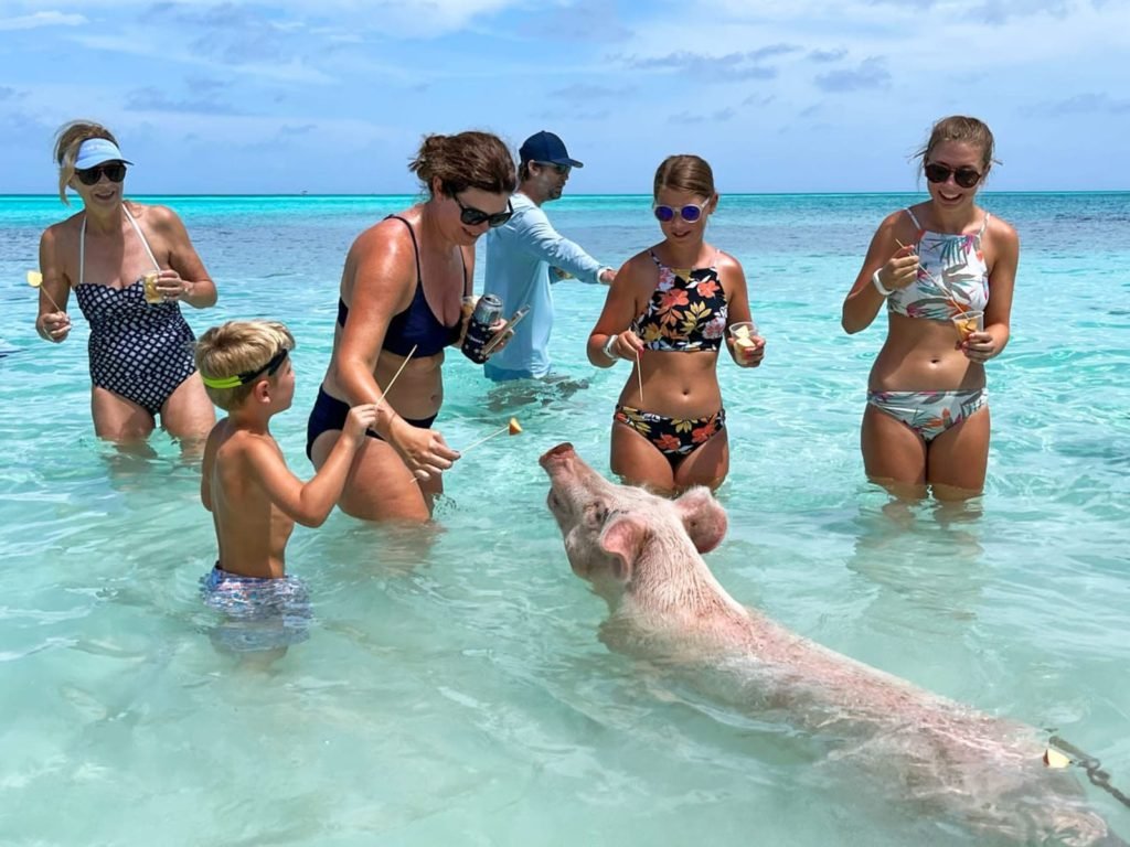 Bahamas Swimming Pigs Experience